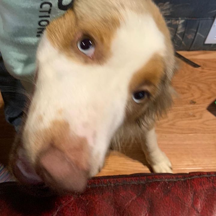 Profile Picture of leobabineau14 (@leobabineau14) on Tiktok