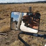 Profile Picture of Sean Dreyer (@sean.dreyer.16) on Instagram