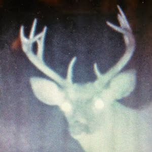 Profile Picture of leobyrd2 (@leobyrd2) on Tiktok