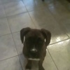 Profile Picture of Brandi Ryan (@@brandiryan1) on Tiktok