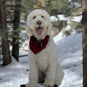 Profile Picture of Mark Stevens (@markstevens3073) on Youtube