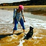 Profile Picture of Debbie Mincher (@tideline_fairy) on Instagram