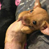 Profile Picture of Jacquelyn Nguyen (@jacquelyn-nguyen-19) on Quora