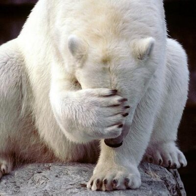 Profile Picture of Wenhao Liu (@owenhaoliu) on Twitter