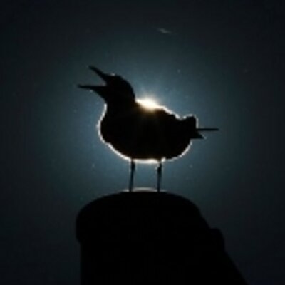 Profile Picture of Thomas Bohnert (@botths) on Twitter