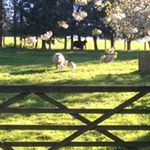 Profile Picture of Alex Heathcote (@heathcote_alex) on Instagram