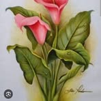 Profile Picture of Alejandro Reyna (@Alejandro-Reyna) on Facebook
