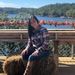 Profile Picture of Krystal Evans (@cheer_krssy1913) on Pinterest