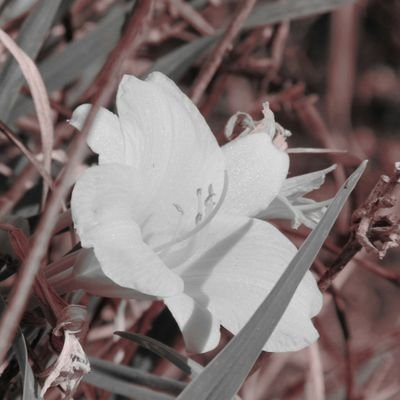 Profile Picture of David  Parkhurst (@blp74) on Twitter