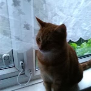 Profile Picture of John (@john_johnrelf41) on Twitter