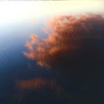 Matt Logan - Instagram Profile Picture of Matt Logan (@mattglogan) on Instagram