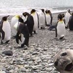 Profile Picture of Yolanda Patiño (@yolanda7385) on Instagram