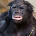 Profile Picture of Jonathan Grobel (@jo.k.nathan) on Instagram