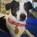 Profile Picture of Kim McAuliffe (@kimstaz99) on Pinterest