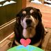 Profile Picture of Shelly Inman (@shelly.inman.524) on Facebook