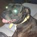 Profile Picture of Ricardo Mignone (@ricardo.mignone.129) on Facebook