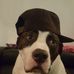 Profile Picture of Jeremy Kramer (@jeremy.kramer.9843) on Facebook