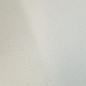 Profile Picture of Max Power (@SamShelley5) on Twitter