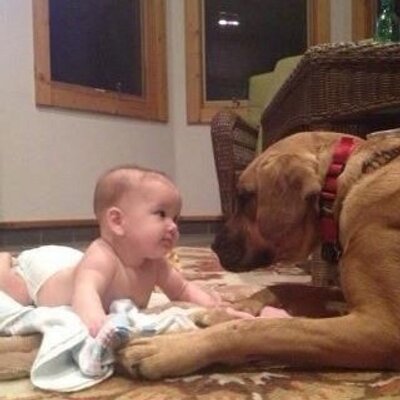 Profile Picture of Mark Mccrystal (@MarkSpout) on Twitter