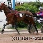 Hamann Michael - Instagram Profile Picture of Hamann Michael (@charlyhamann) on Instagram