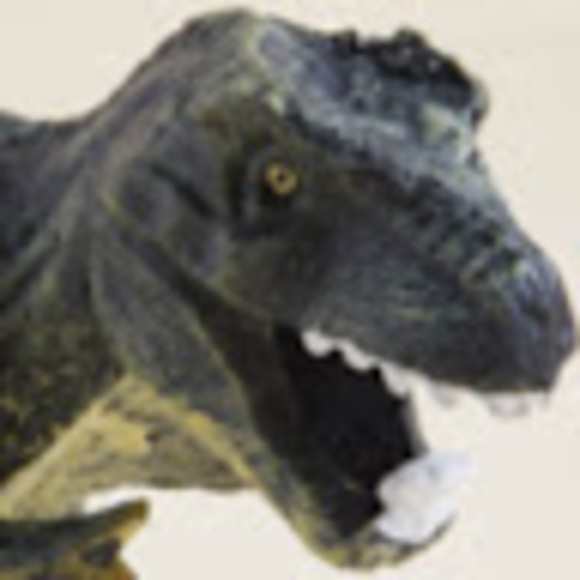 John Jang - Poshmark Profile Picture of John Jang (@hellojohnjang) on Poshmark