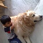 Profile Picture of JayChitnis (@jay_chitnis09) on Instagram