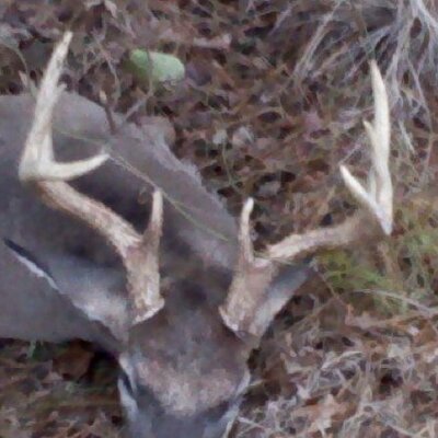Profile Picture of Jason Martel (@thumper56) on Twitter