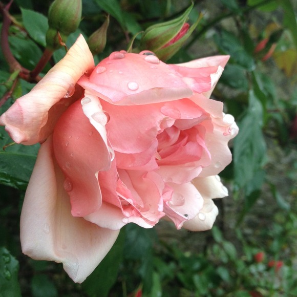 Rylee Portman - Poshmark Profile Picture of Rylee Portman (@portmanre) on Poshmark