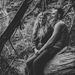 Profile Picture of Juliann Jacob (@jgorczynski) on Pinterest