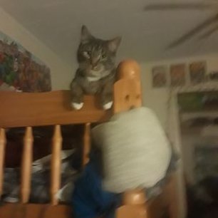 Profile Picture of Dylan Carter Kearns (@Dylancarterkea1) on Twitter