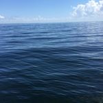 Profile Picture of wanda fields (@solomon_spot) on Instagram