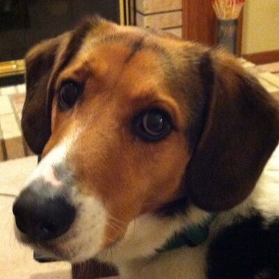 Profile Picture of Bill Lambert (@LambertBill) on Twitter