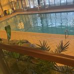 Profile Picture of Jacob Laforet (@Jacob-Laforet) on Facebook