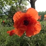 Profile Picture of Terry Erickson (@lifewithterry) on Instagram