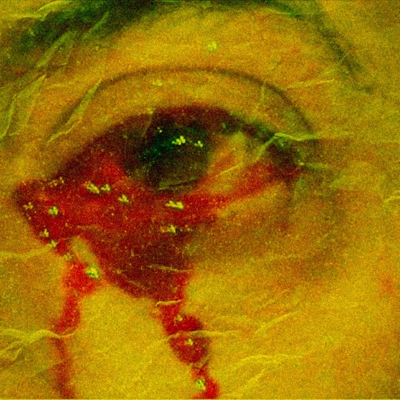 Profile Picture of Bobby Loppnow (@jusfrends) on Poshmark