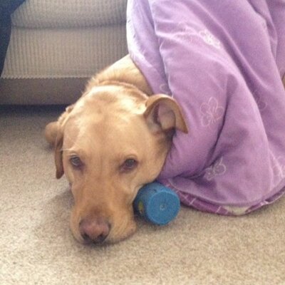 Profile Picture of Michael Viney (@19mike66) on Twitter