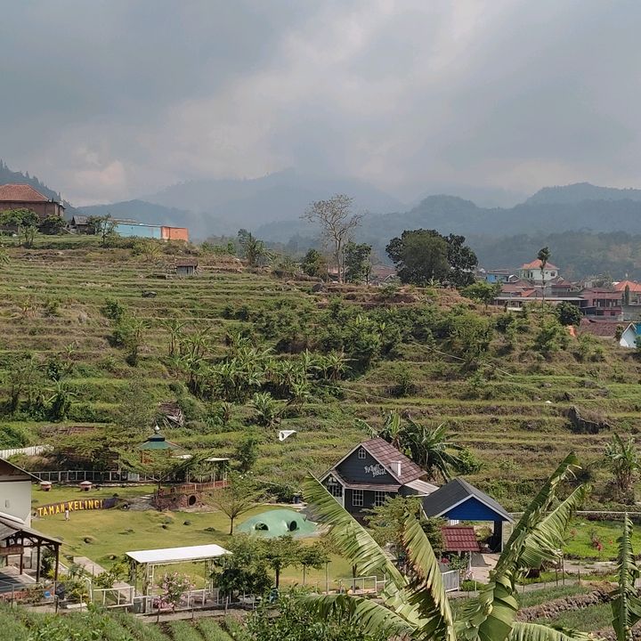 Profile Picture of Shelly Mee 🦋 (@shelly.meeme) on Tiktok