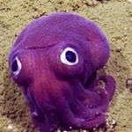 Bethemusick - Instagram Profile Picture of Bethemusick (@brent.musick) on Instagram