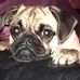 Profile Picture of Dawn Tombs (@dawn.tombs.9) on Facebook