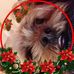 Profile Picture of Jannette Harberts (@jannette.harberts.31) on Facebook
