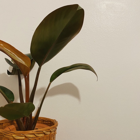 Profile Picture of Mari Jimenez (@mariijiimenez95) on Poshmark