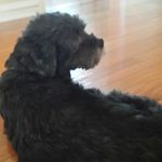 Profile Picture of Matthew Simeone (@mattshark0813) on Instagram