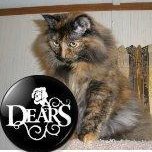 Profile Picture of Lacy Hinton (@Lacy1984MS) on Twitter