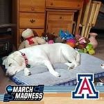 Profile Picture of Cindy Josephine Valley (@cindyvalley003) on Instagram