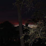 Profile Picture of Jean Bates (@jeanbates9595) on Youtube