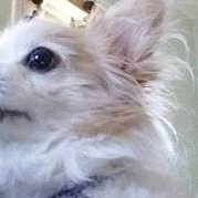 Profile Picture of Israel Pastrana (@israel.pastrana.98) on Myspace