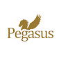 Profile Picture of PegasusPublisher (@@PegasusPublisher) on Tiktok