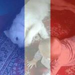 Profile Picture of Audrey Sachs (@audrey67130) on Instagram