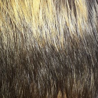 Profile Picture of Jade River (@jade.river.73594) on Facebook