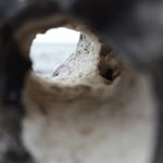 Profile Picture of Gabriel Richter (@_ri.ga) on Instagram